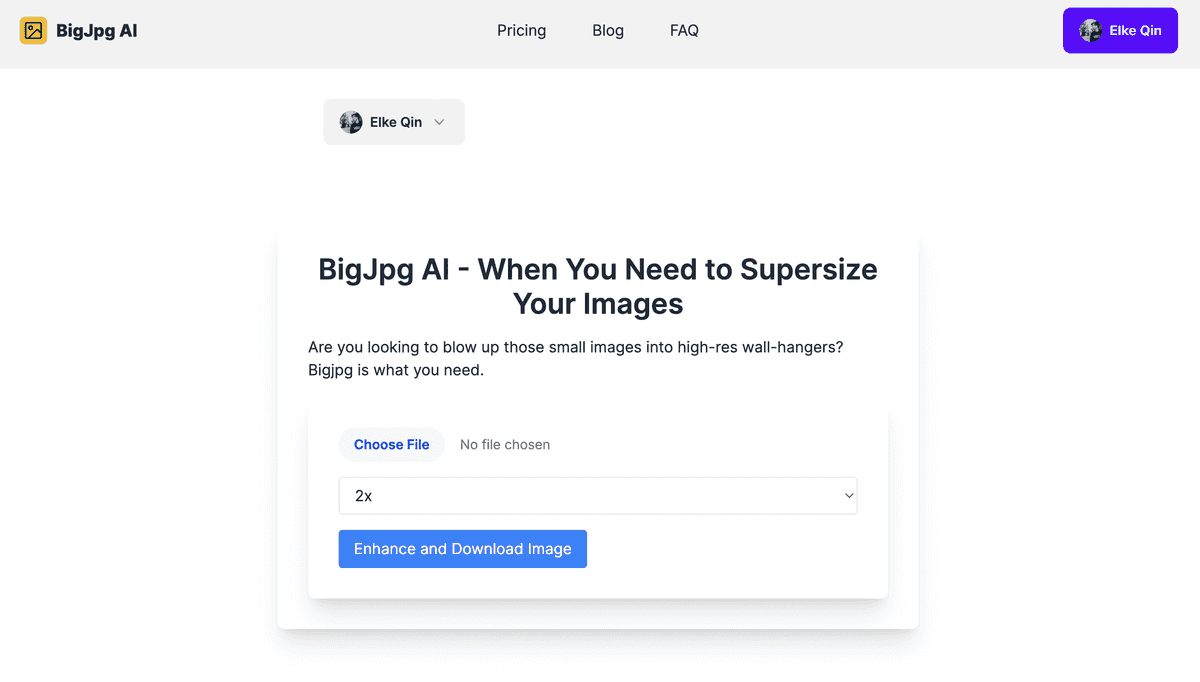 BigJpg logo with enhanced image samples